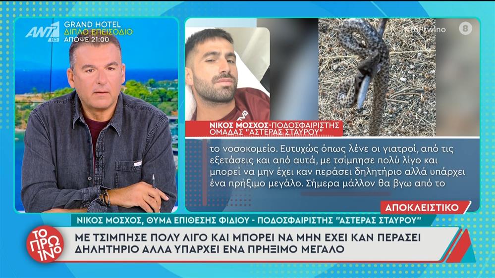 Θύμα επίθεσης φιδιού: "Με τσίμπησε πολύ λίγο και μπορεί να μην έχει καν περάσει δηλητήριο" - Το Πρωινό - 01/10/2025