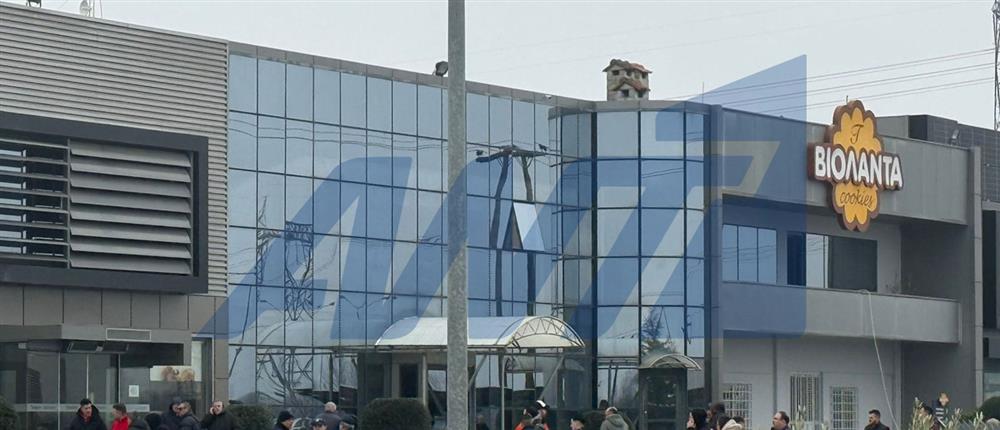 Βιολάντα: Από ένα συνοικιακό αρτοποιείο στα Τρίκαλα σε βιομηχανία που ταξίδεψε σε όλο τον κόσμο