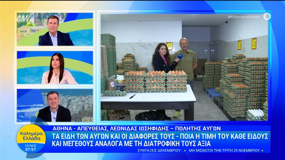 Τα είδη των αυγών και οι διαφορές τους - Ποιά η τιμή του κάθε είδους και μεγέθους - Καλημέρα Ελλάδα - 18/11/2025