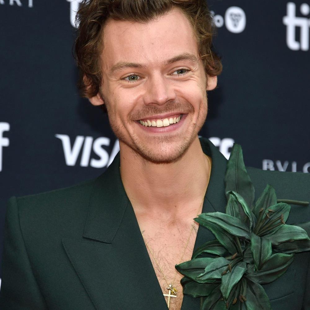 Χάρι Στάιλς