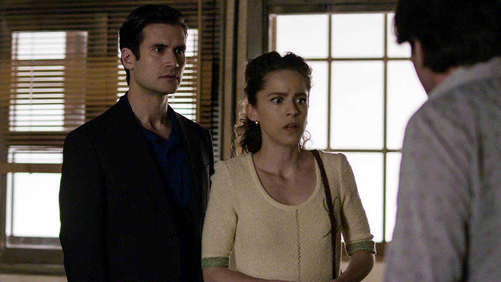 ΑΓΡΙΕΣ ΜΕΛΙΣΣΕΣ - ANT1