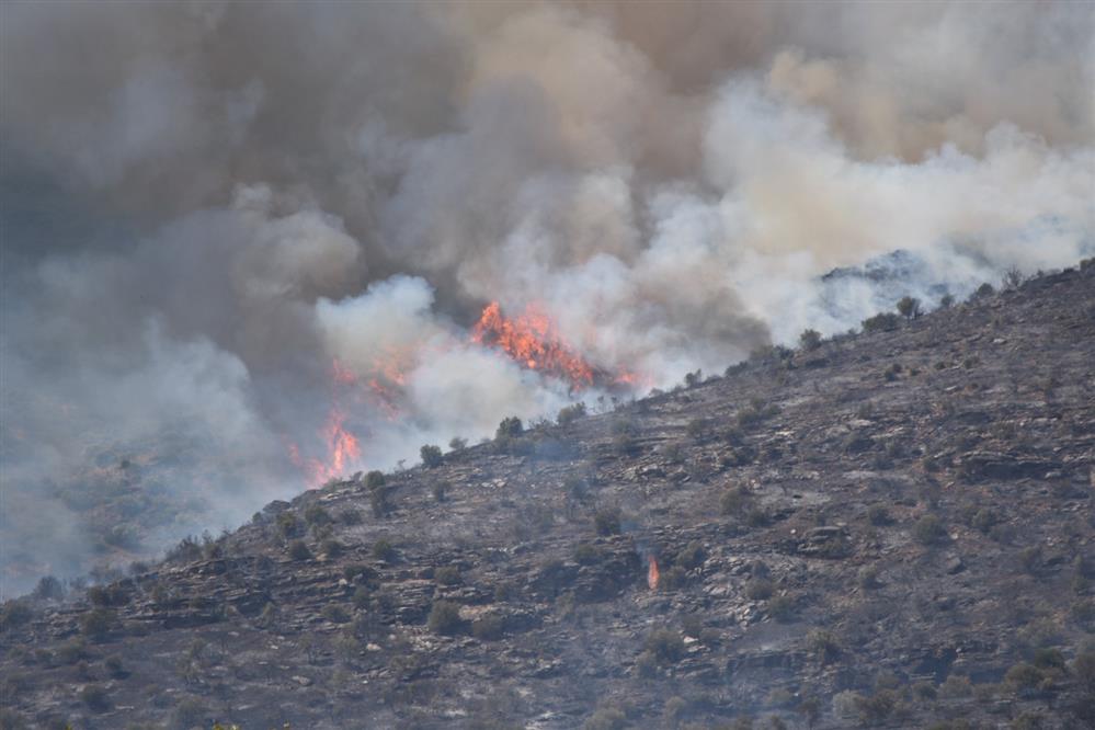 Λάρισα - φωτιά
