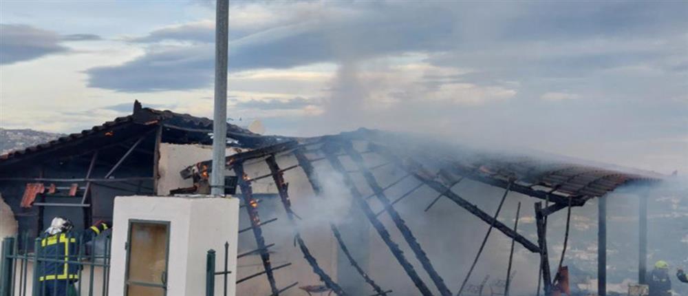 πυρκαγιά στη Ραφήνα πυρκαγιά στη Ραφήνα