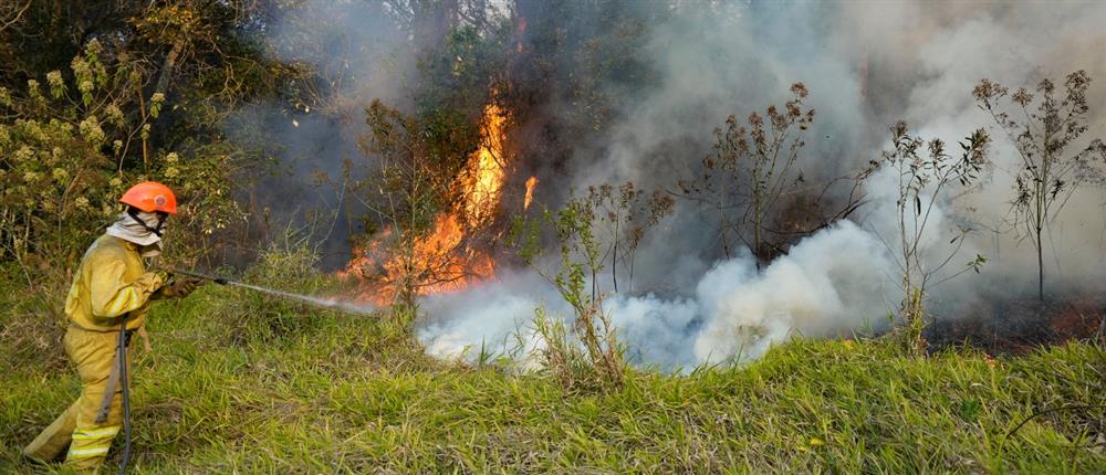Βραζιλία - Φωτιές Βραζιλία - Φωτιές