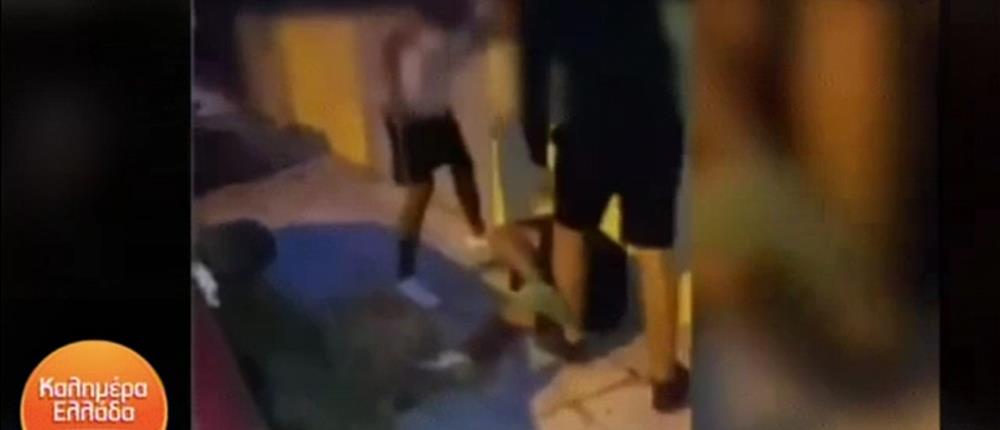 bullying - Καλημέρα Ελλάδα