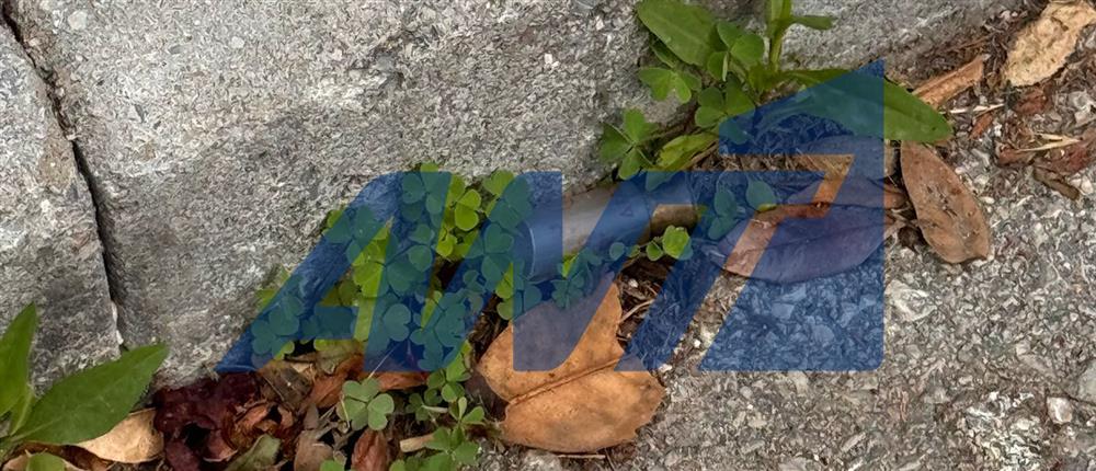 Θεσσαλονίκη - Επεισόδιο με πυροβολισμούς στην Ευκαρπία