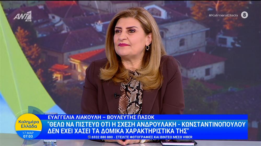 Η Ευαγγελία Λιακούλη, βουλευτής ΠΑΣΟΚ στο Καλημέρα Ελλάδα - 17/03/2026