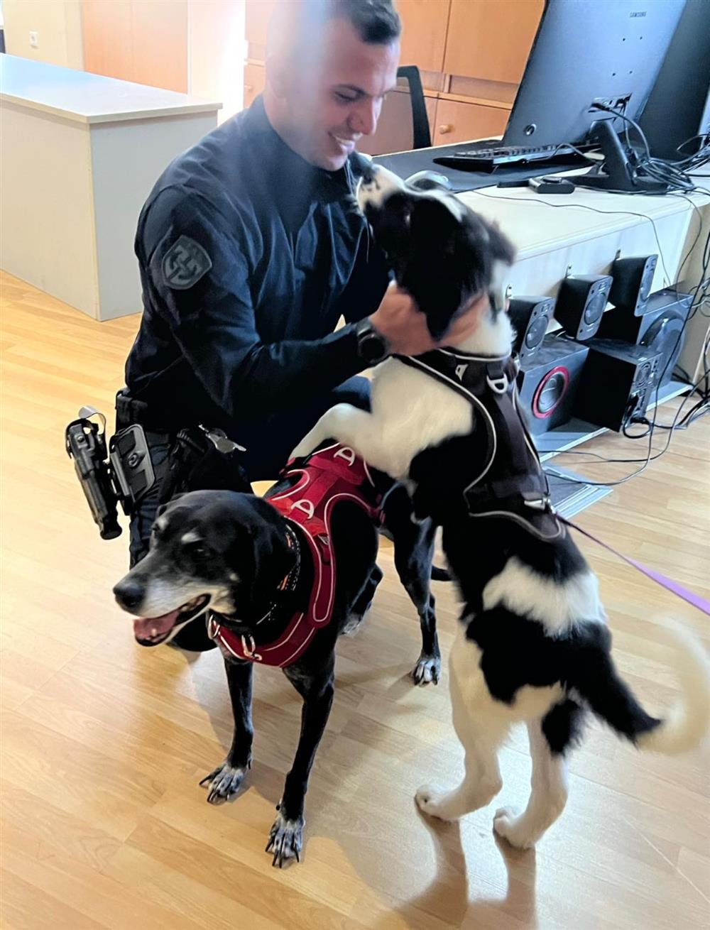 ΗΡΑΚΛΕΙΟ - ΑΣΤΥΝΟΜΙΑ ΖΩΩΝ