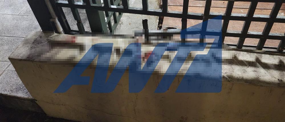 Κηφισιά - Επίθεση κουκουλοφόρων σε παρέα ανήλικων - Σοβαρά τραυματισμένος ένας 17χρονος