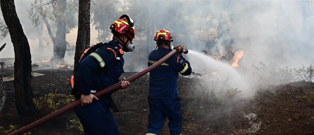 Υπό έλεγχο η πυρκαγιά στη Γιάννουλη Σουφλίου