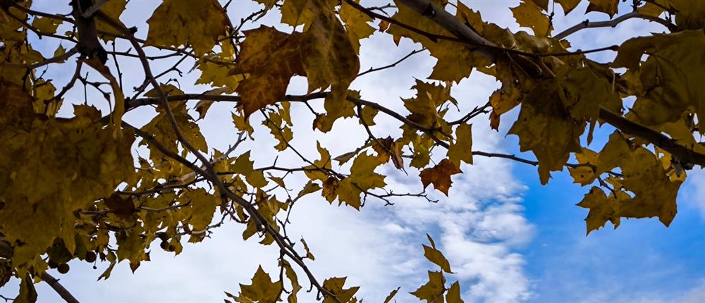 Τι καιρό θα κάνει την Παρασκευή