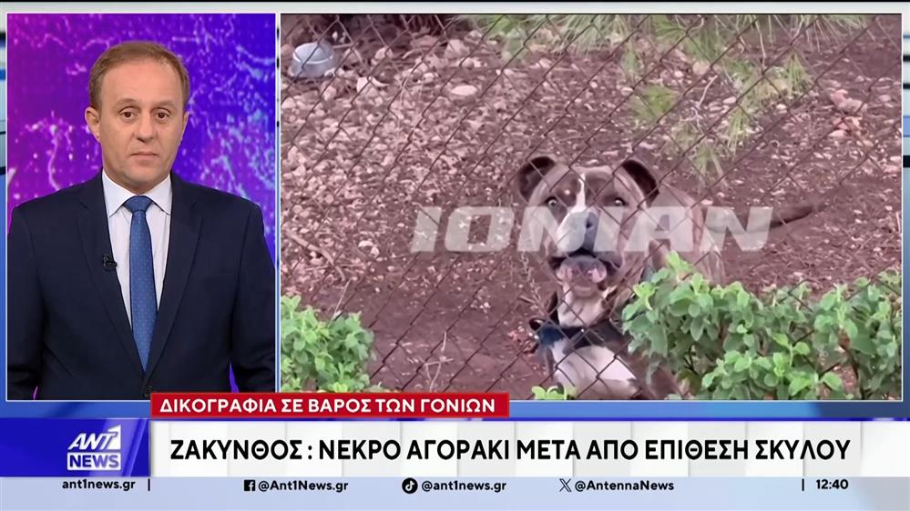 Ζάκυνθος: Νεκρό αγοράκι μετά από επίθεση σκύλου