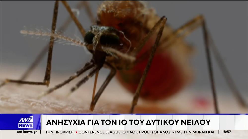 Το εκρηκτικό κοκτέιλ ζέστης και υγρασίας ευνοεί την ανάπτυξη των κουνουπιών