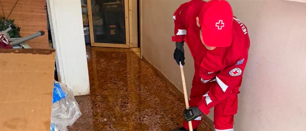 Ελληνικός Ερυθρός Σταυρός