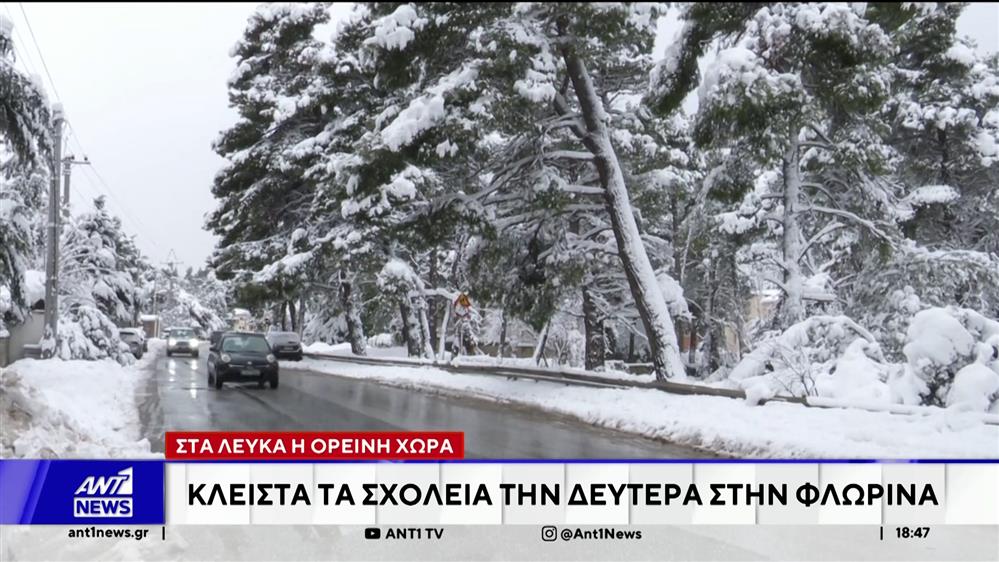 Ισχυρό κύμα ψύχους, θα σαρώσει από απόψε το βράδυ, μεγάλο μέρος της χώρας