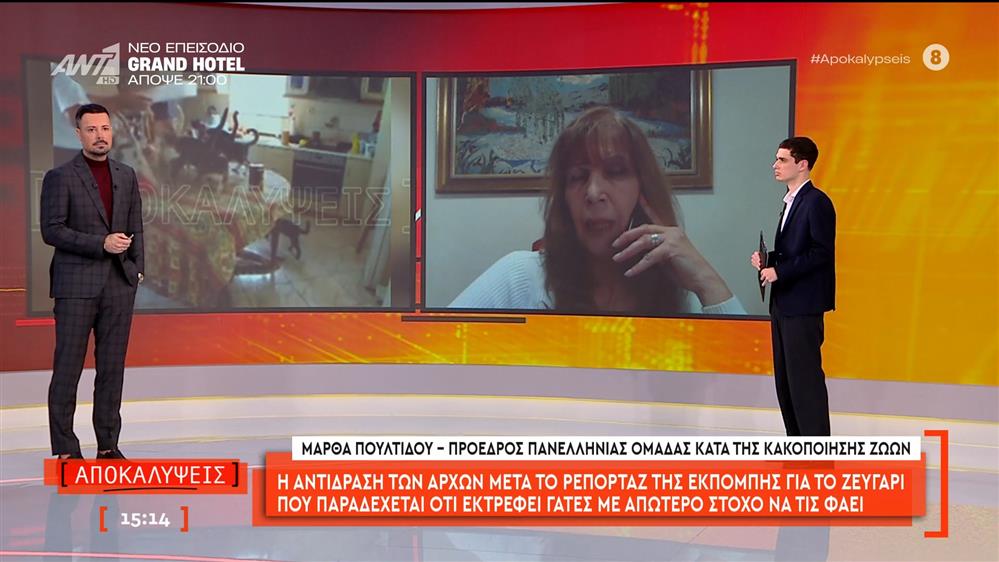 Η αντίδραση των Αρχών μετά το ρεπορτάζ των Αποκαλύψεων για το ζευγάρι που παραδέχεται εκτρέφει γάτες με απώτερο στόχο να τις φάει
