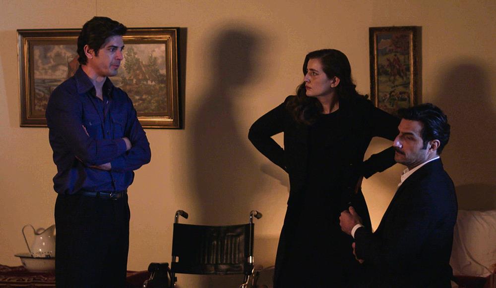 ΑΓΡΙΕΣ ΜΕΛΙΣΣΕΣ - ΑΝΤ1