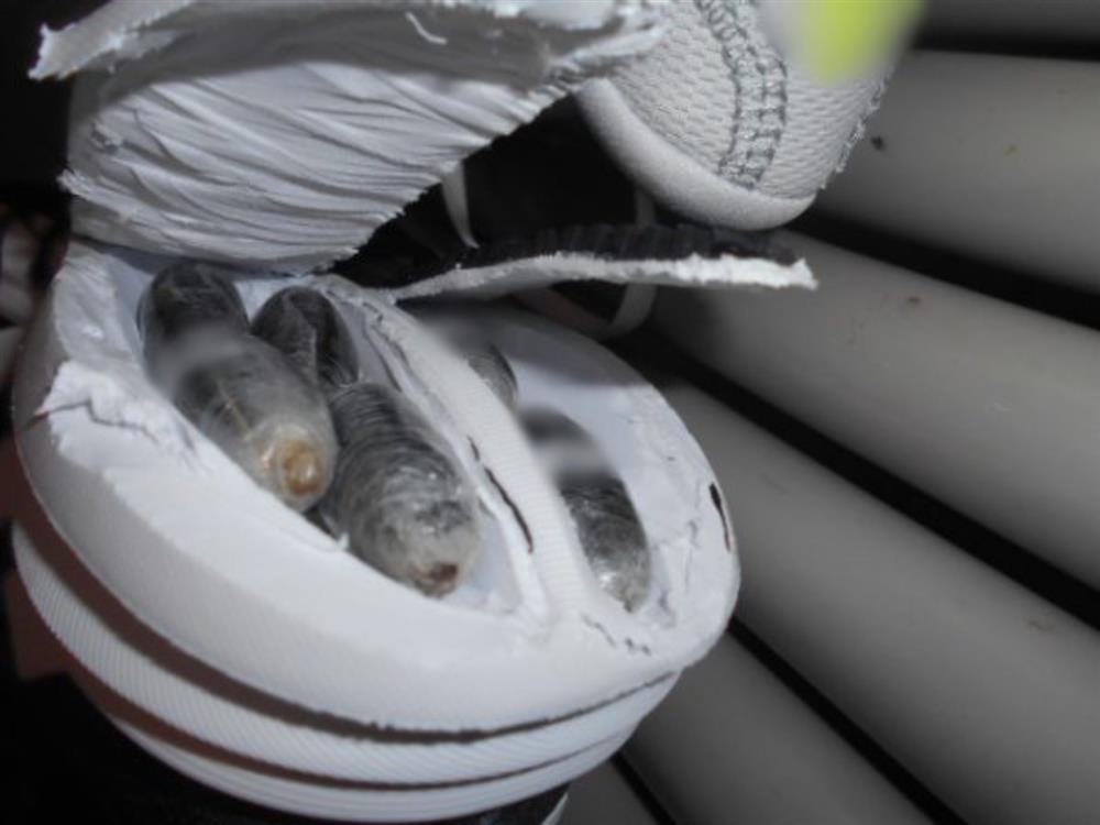 ΦΩΚΙΔΑ - ΝΑΡΚΩΤΙΚΑ - ΑΘΛΗΤΙΚΑ ΠΑΠΟΥΤΣΙΑ ΦΩΚΙΔΑ - ΝΑΡΚΩΤΙΚΑ - ΑΘΛΗΤΙΚΑ ΠΑΠΟΥΤΣΙΑ