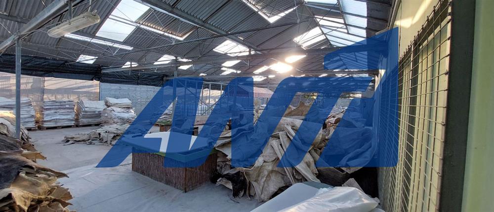 Σπάτα - Διακίνηση - Ναρκωτικά