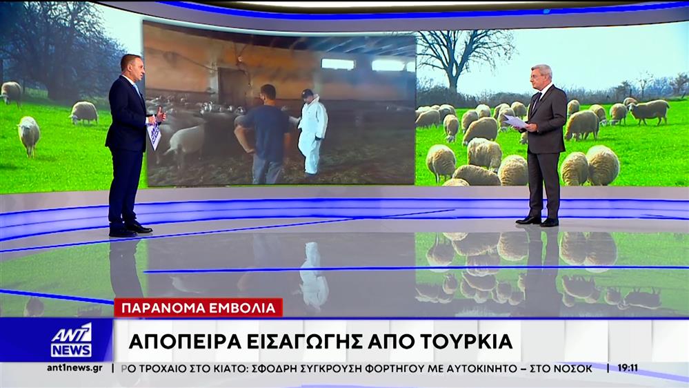 Κομοτηνή: Συνελήφθησαν για απόπειρα εισαγωγής εμβολίων κατά της ευλογιάς, από την Τουρκία