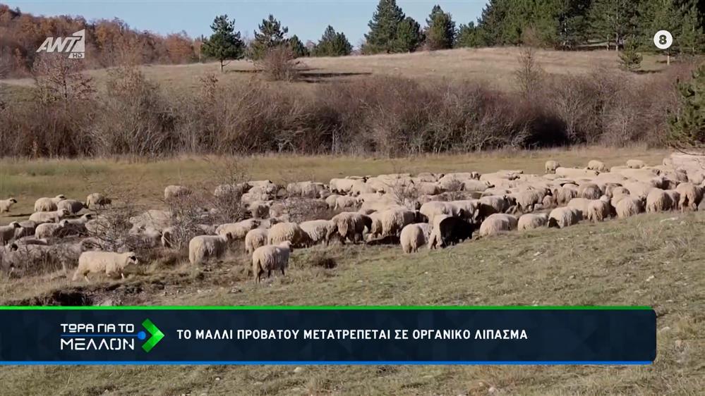 Κροατία: Λίπασμα από απόβλητα