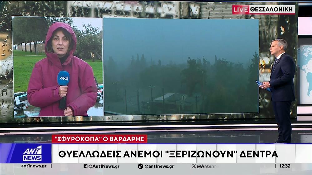 Θεσσαλονίκη: Θυελλώδεις άνεμοι ξεριζωνόμουν δέντρα