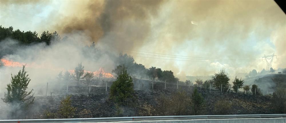 Πτολεμαΐδα: Φωτιά στον πρώην οικισμό Μαυροπηγής (βίντεο)