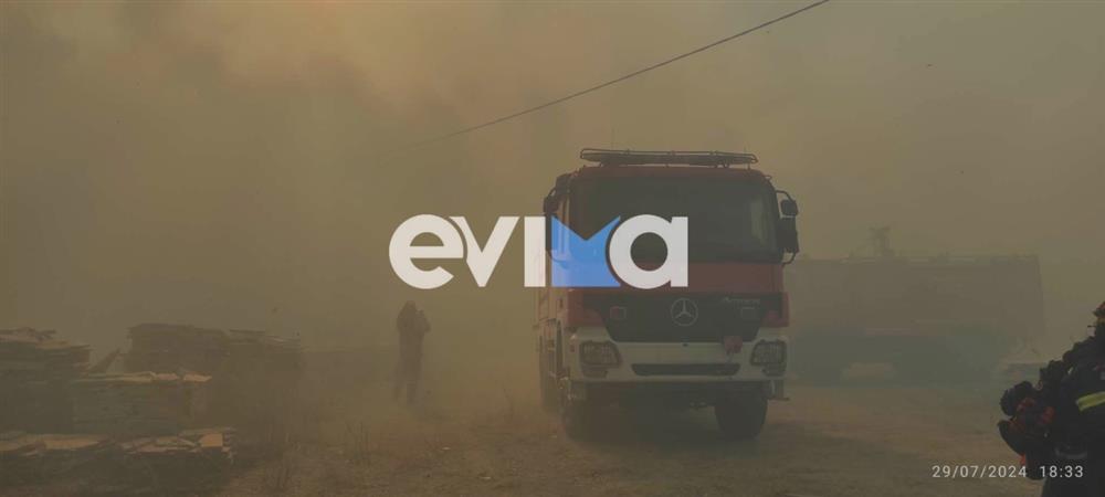 Φωτιά στην Εύβοια