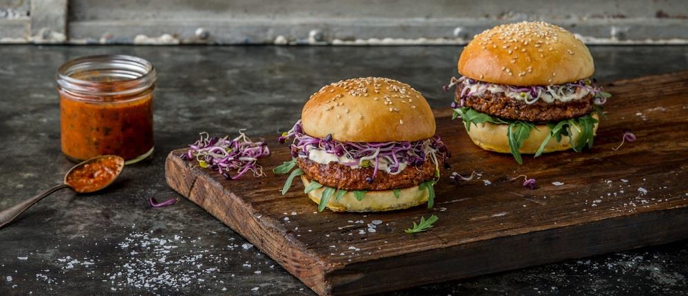 ΕΛΒΕΤΙΑ - ΤΡΟΦΙΜΑ ΜΕ ΕΝΤΟΜΑ