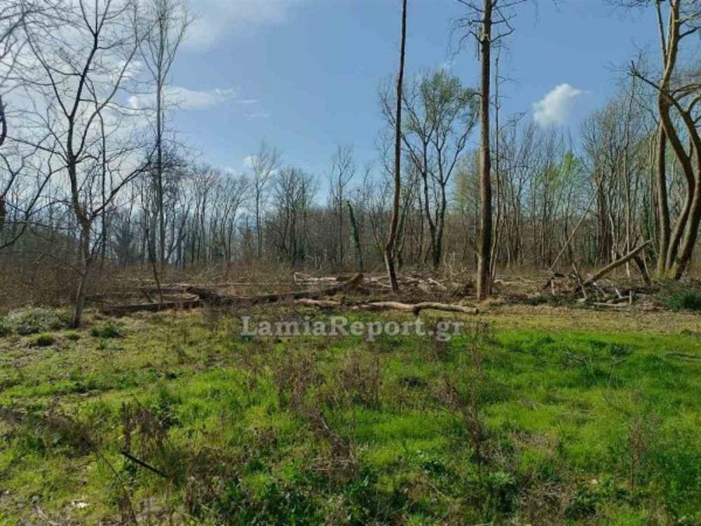 Λαμια - Φθιωτιδα - Εργατικο Ατυχημα Λαμια - Φθιωτιδα - Εργατικο Ατυχημα