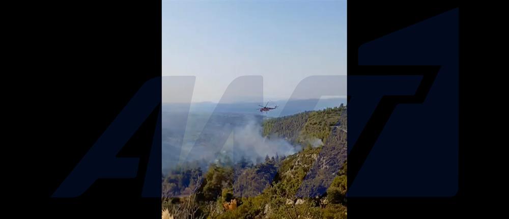 Φωτιά στο Μαρκόπουλο Ωρωπού - Ήχησε το 112 (βίντεο)