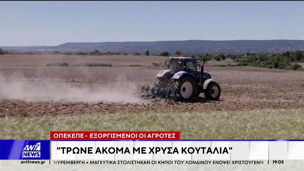 ΟΠΕΚΕΠΕ – Εξοργισμένοι οι αγρότες: Είμαστε απλήρωτοι, μας εμπαίζουν