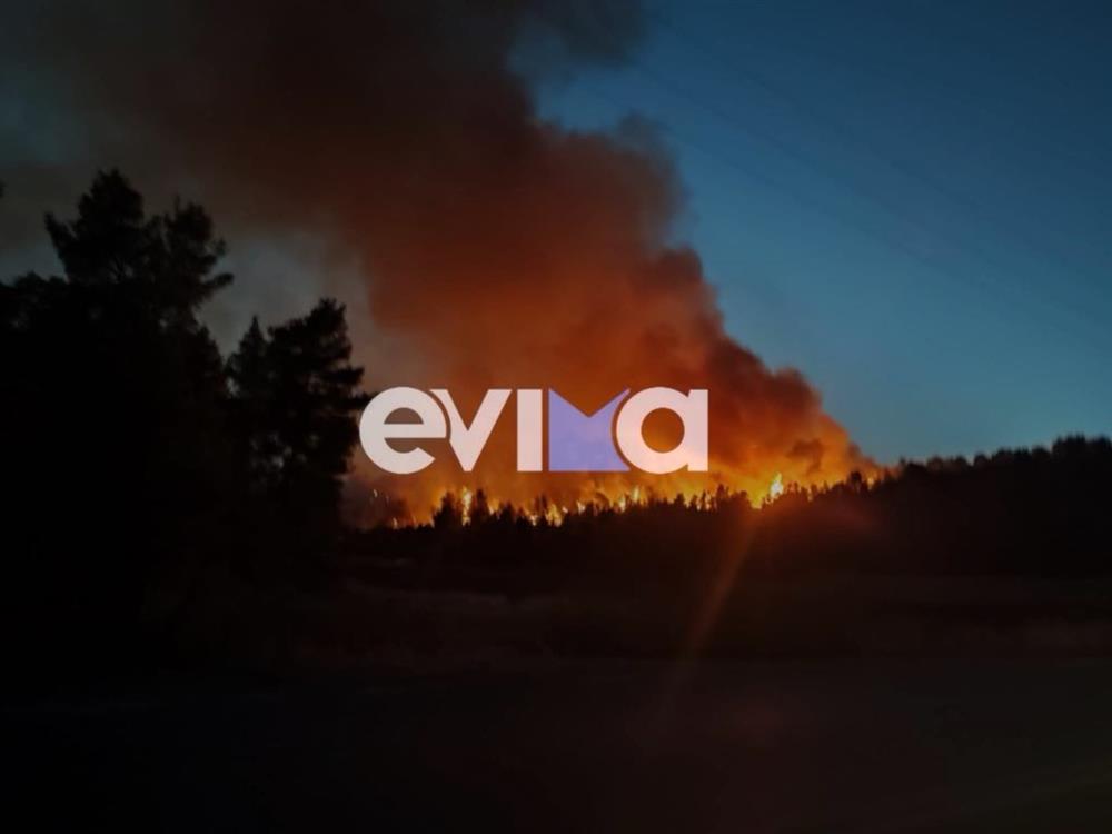 Φωτιά - Εύβοια