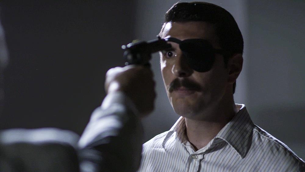 ΑΓΡΙΕΣ ΜΕΛΙΣΣΕΣ - ANT1