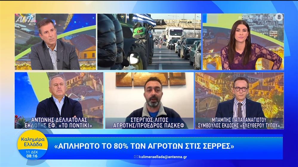 Απλήρωτο το 80% των αγροτών στις Σέρρες - Καλημέρα Ελλάδα - 11/12/2025