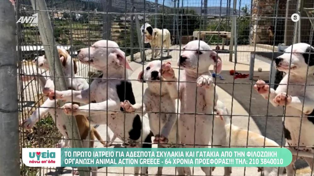 ΥΓΕΙΑ & ΑΛΛΗΛΕΓΓΥΗ - Επεισόδιο 64 - 11ος ΚΥΚΛΟΣ