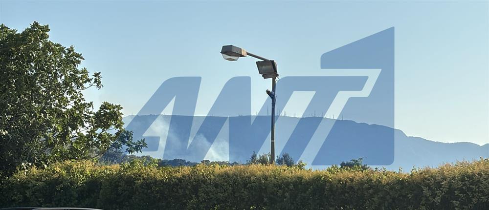 Φωτιά στην Αργιθέα κοντά σε σπίτια - Εστάλη 112