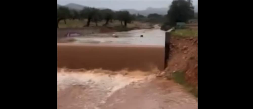 Μάνδρα Αττικής: Κλειστή η οδός Αγίας Αικατερίνης λόγω υπερχείλισης ρέματος (βίντεο)