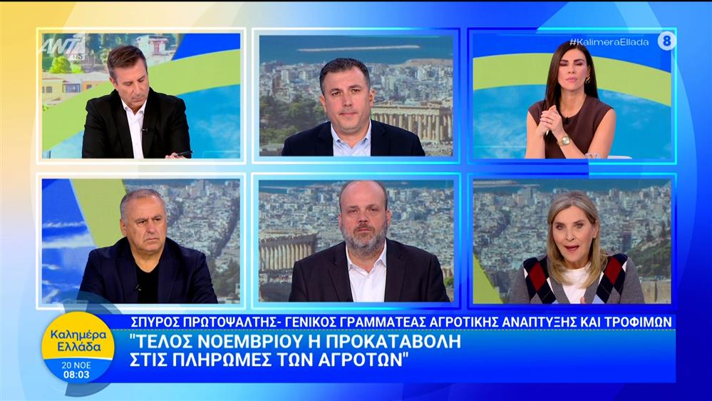 Ο γ.γ. Αγροτικής Ανάπτυξης και Τροφίμων, Σπ. Πρωτοψάλτης στο Καλημέρα Ελλάδα - 20/11/2025