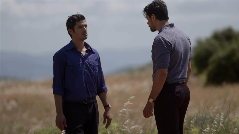 ΑΓΡΙΕΣ ΜΕΛΙΣΣΕΣ – ΕΠΕΙΣΟΔΙΟ 133 – Γ ΚΥΚΛΟΣ