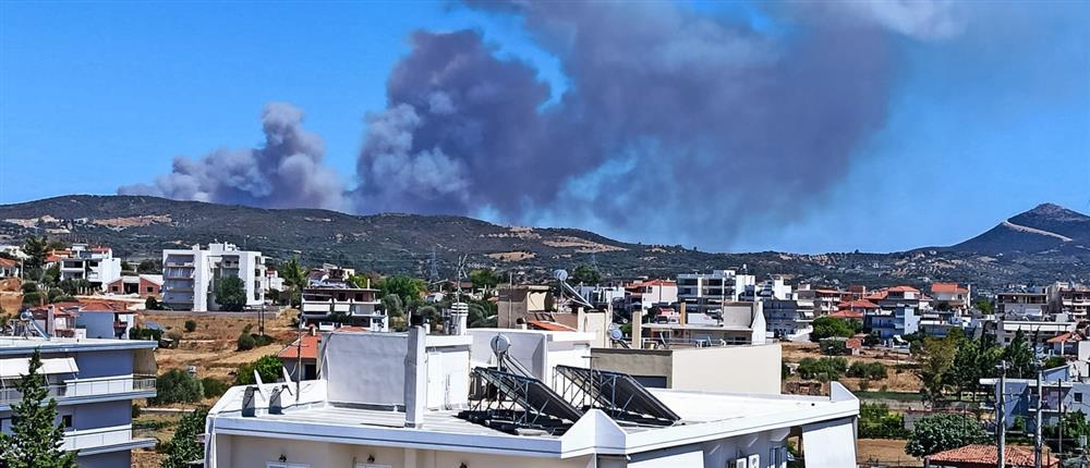 Ευβοια - Φωτιά