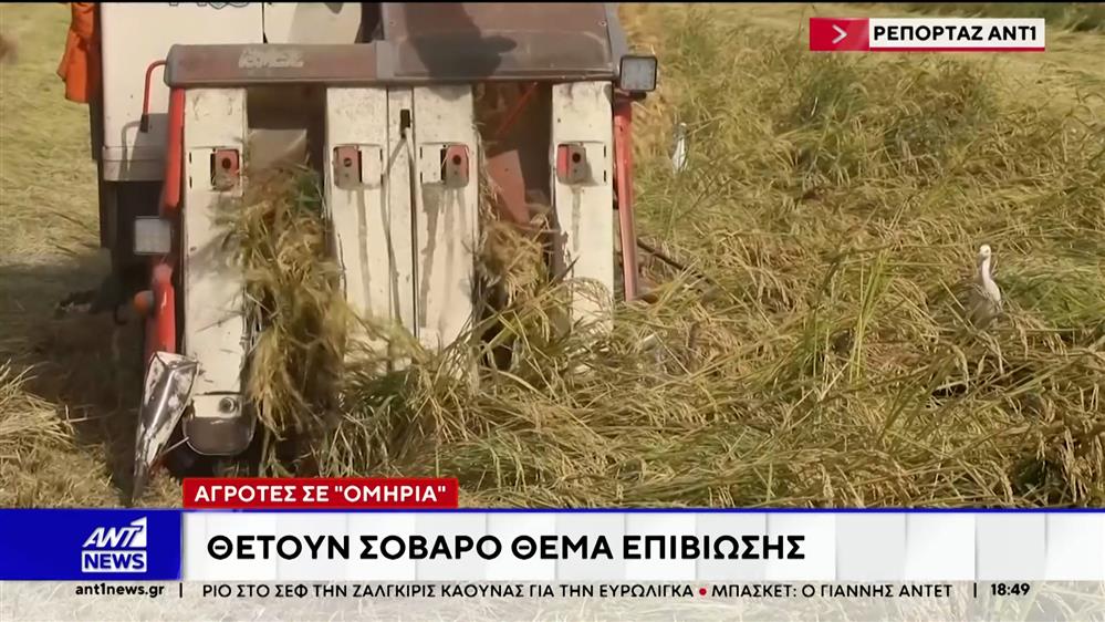 Αγρότες στον ΑΝΤ1: Χάσαμε τα πάντα - Δεν έχουμε ούτε να πληρώσουμε το ρεύμα 
