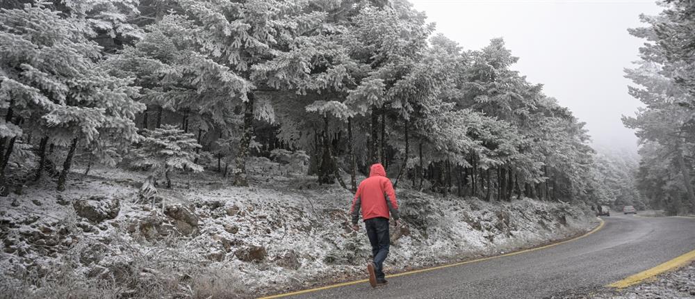 Χιόνια και χαμηλές θερμοκρασίες στη Βόρεια Ελλάδα - Τι θα ισχύσει για τα σχολεία