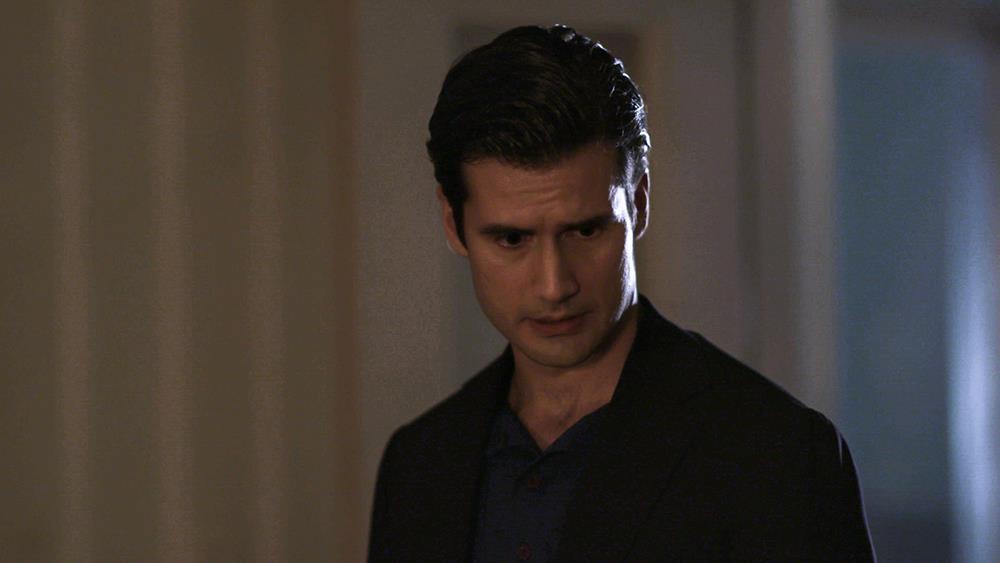 ΑΓΡΙΕΣ ΜΕΛΙΣΣΕΣ