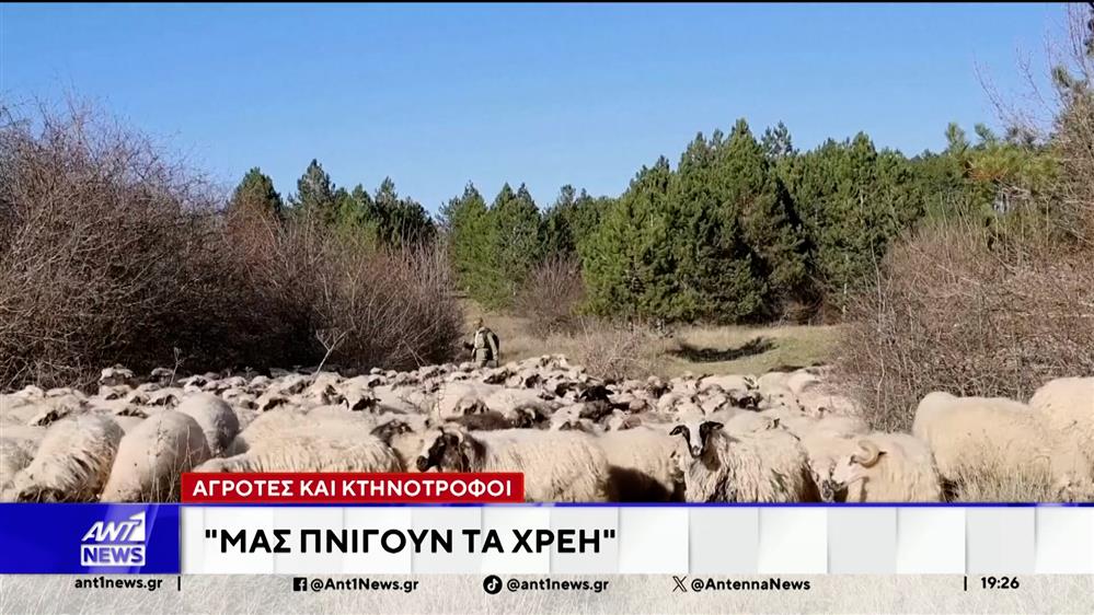 Σε δεινή θέση αγρότες και κτηνοτρόφοι