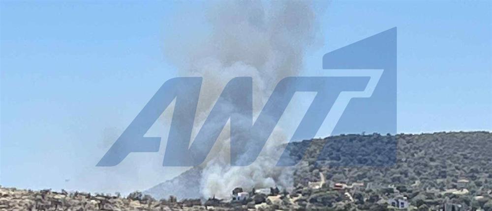 Κορωπί - Φωτιά