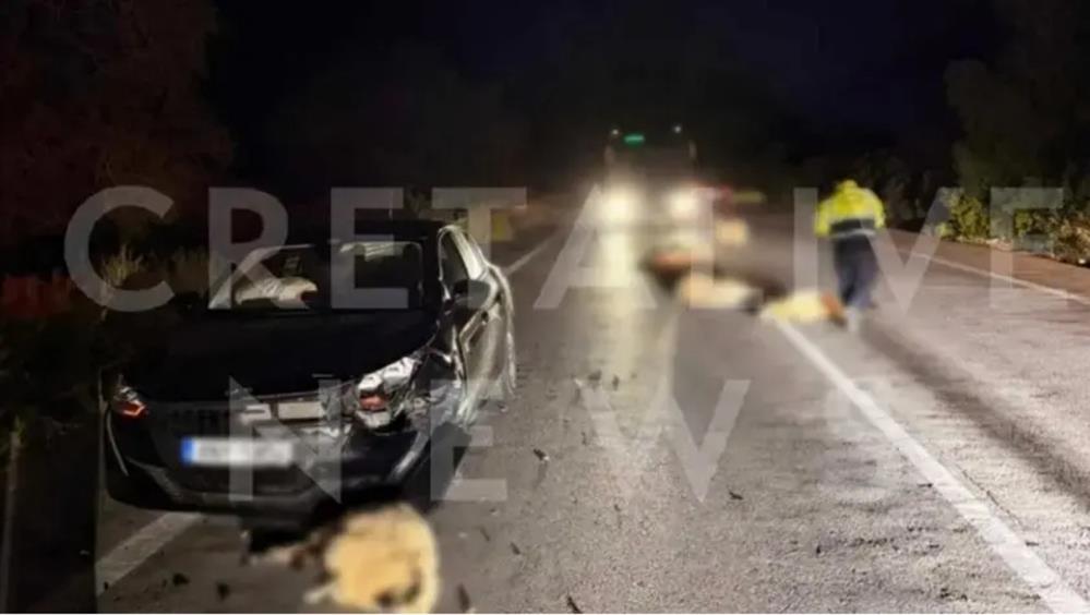 Τροχαίο - Κρήτη - Πρόβατα