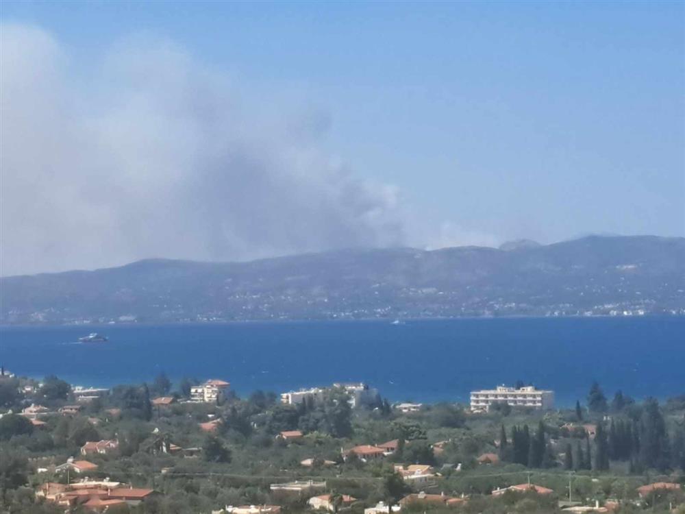 Φωτιά - Εύβοια - Από Ωρωπό