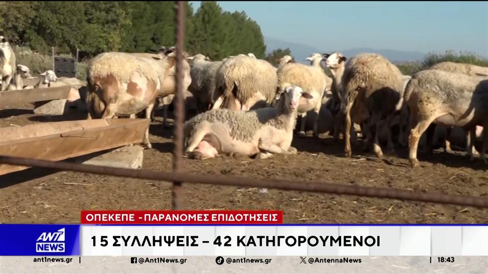 Σκλανδαλο ΟΠΕΚΕΠΕ: Το ελληνικό FBI πέρασε χειροπέδες σε 15 άτομα στη Κρήτη