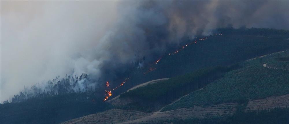 φωτια πορτογαλια φωτια πορτογαλια